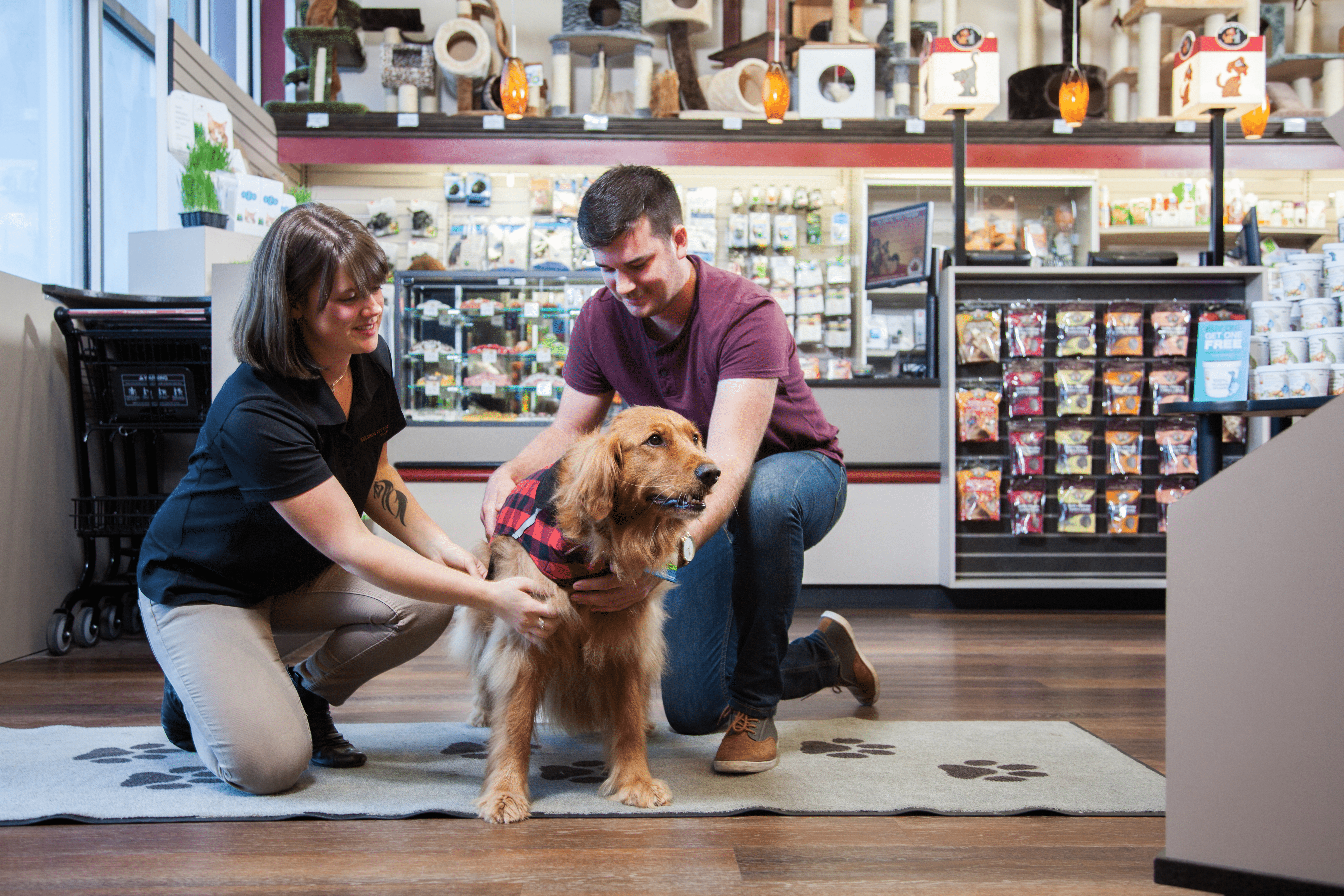 Pet Franchise Businesses for Sale in British Columbia (BC) | Global Pet  Foods