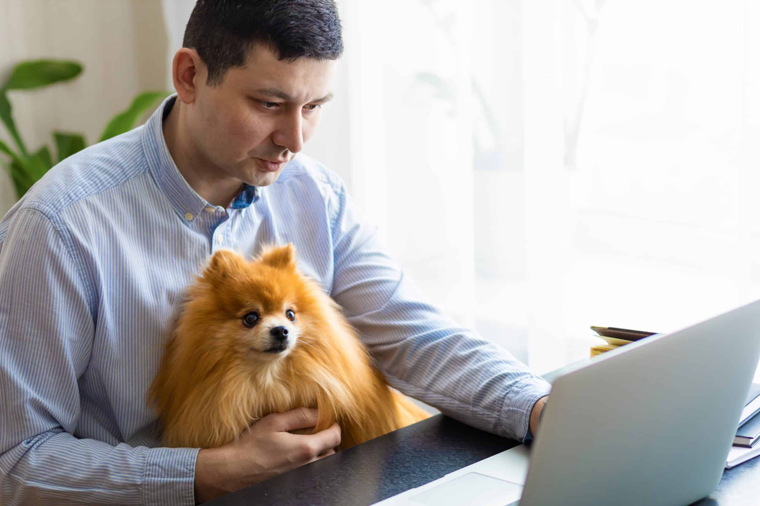happy-person-with-dog-while-working