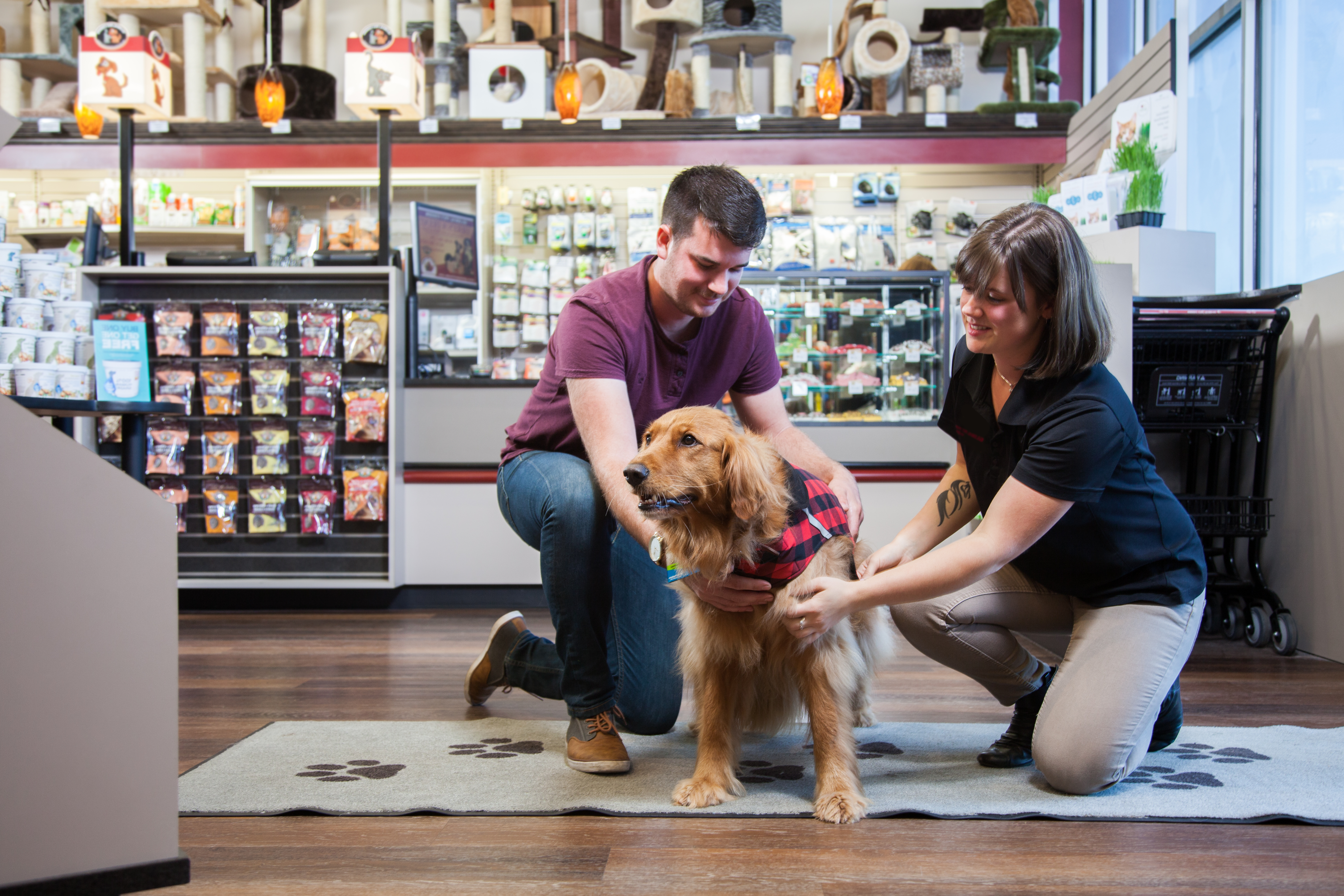 two-adults-petting-dog-in-a-global-pet-foods-store